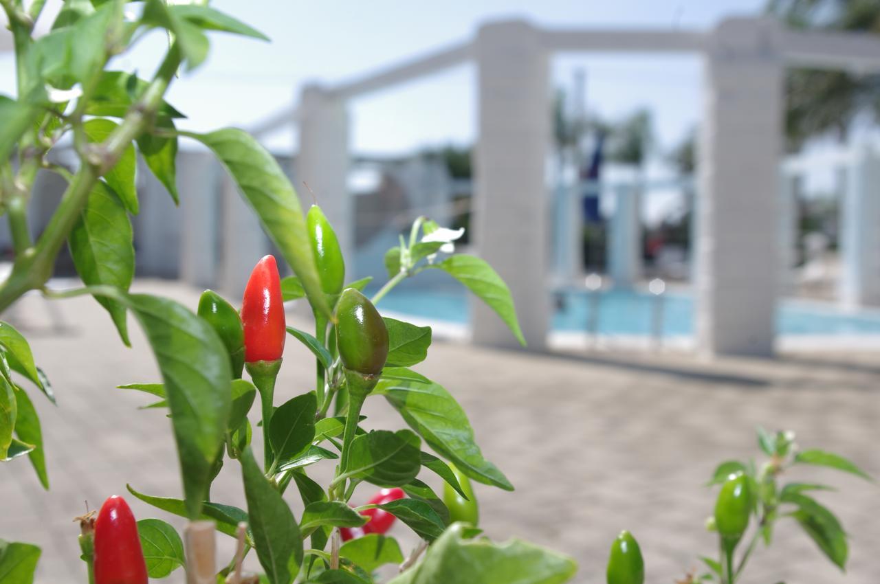 Hotel Nicolaj Polignano a Mare Ngoại thất bức ảnh